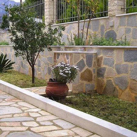 Pegasos 克里斯阿穆迪亚